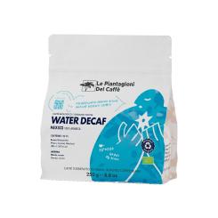 LPDC Water Decaf Mexiko Bio 